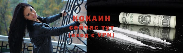 МДПВ Заводоуковск