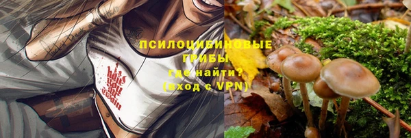 МДПВ Заводоуковск