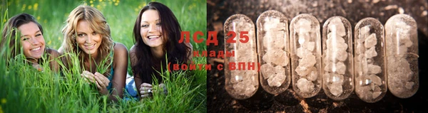 spice Заволжск
