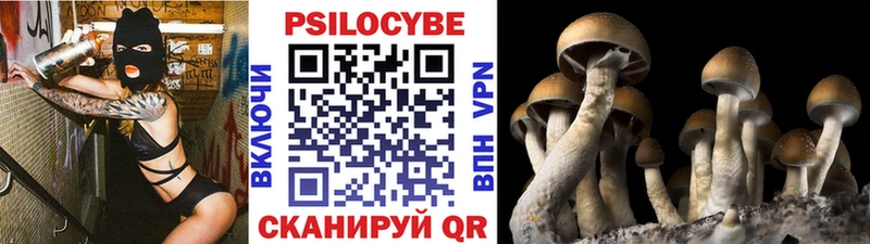 Купить закладки  Пыталово  Галлюциногенные грибы GOLDEN TEACHER 